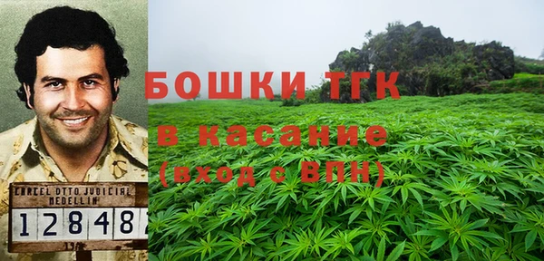 СК Дмитровск