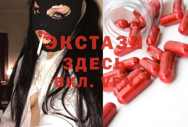 СК Дмитровск