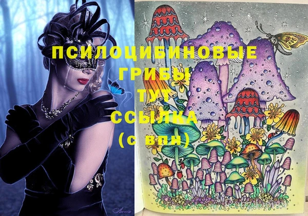 ешки Дмитров