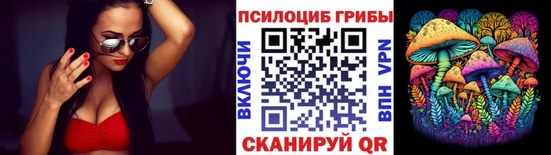 Галлюциногенные грибы Psilocybe  где купить наркотик  Жиздра 
